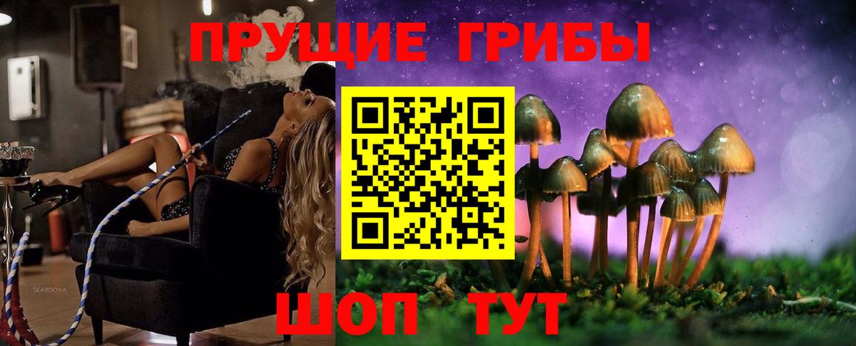 где купить наркоту  Псилоцибиновые грибы GOLDEN TEACHER  Вход с VPN  Холмск 