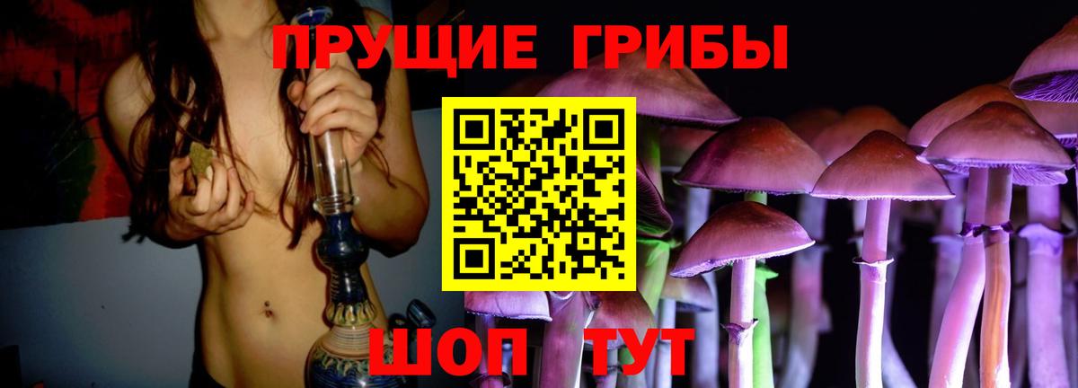 Галлюциногенные грибы прущие грибы Холмск